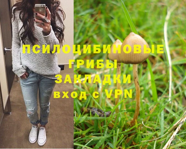 индика Абдулино