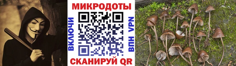 blacksprut рабочий сайт  Ува  Псилоцибиновые грибы MAGIC MUSHROOMS 